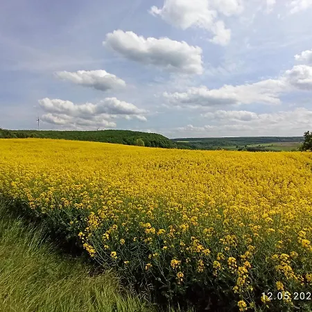 Moderner D51 Europa 2-5 Personen *