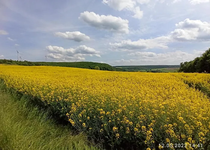 Moderner D51 Europa 2-5 Personen *